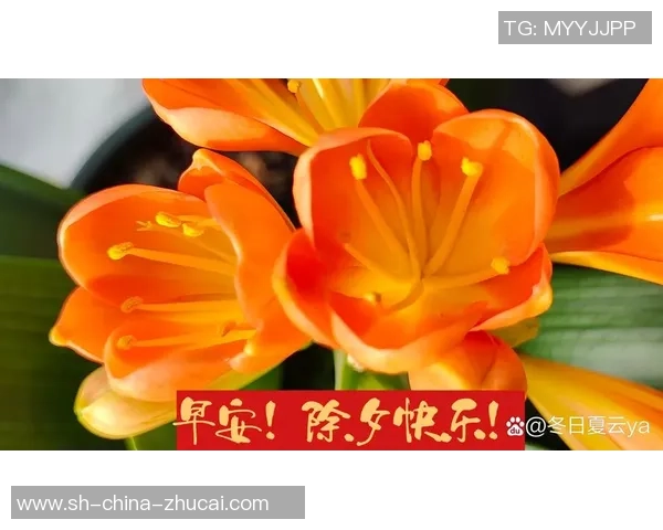 足球明星送上温暖除夕祝福愿你新年快乐梦想成真家庭幸福团圆